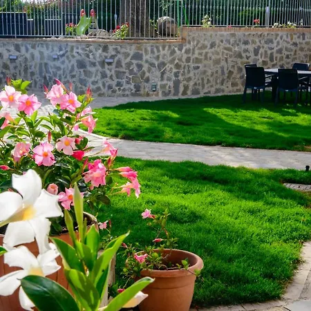 Дом отдыха Villa Rosa Cilento Apartments *